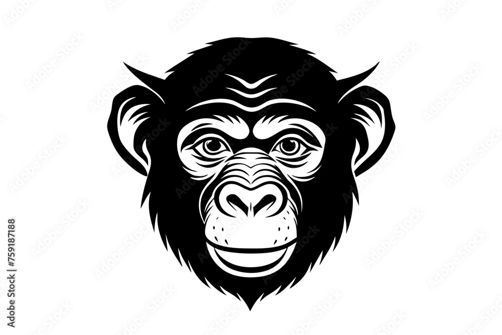 chimpanzee vector illustration