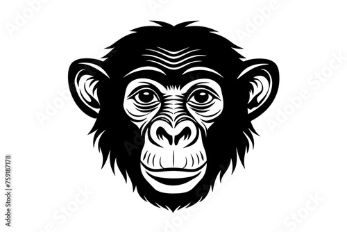chimpanzee vector illustration
