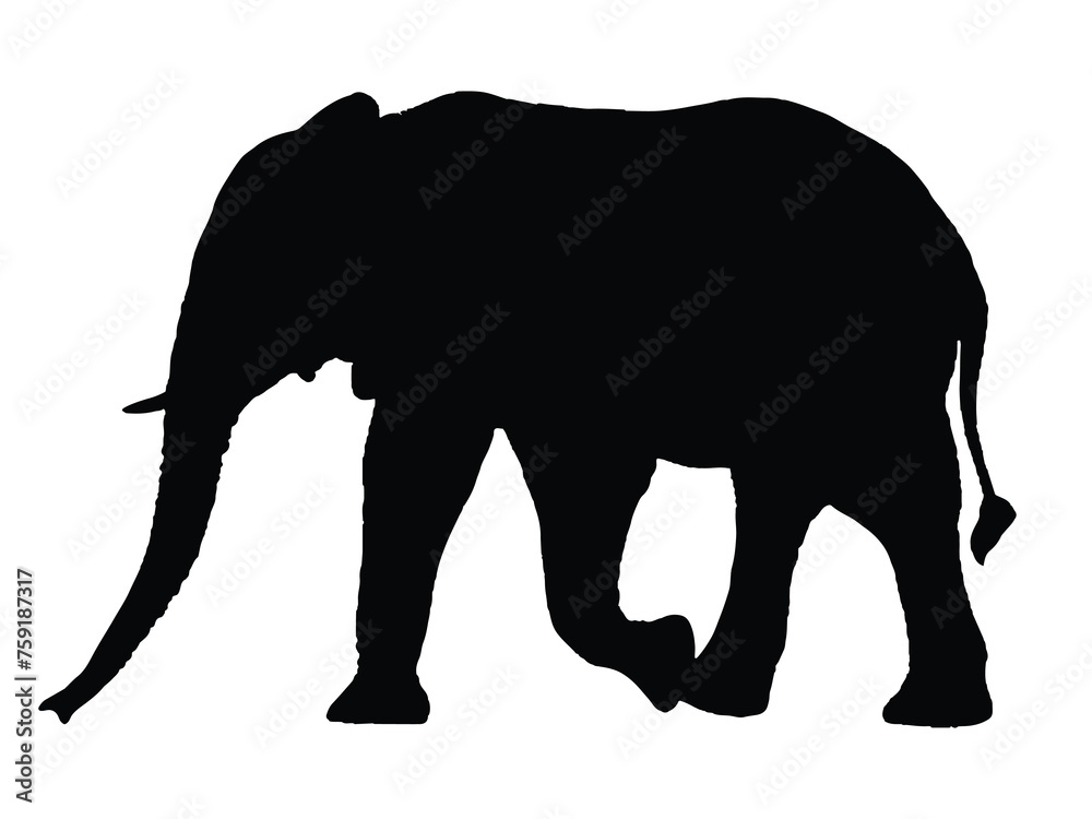 Fototapeta premium Elephant Silhouettes Isolated on White Background