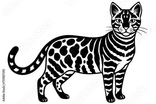 Illustration of a cat