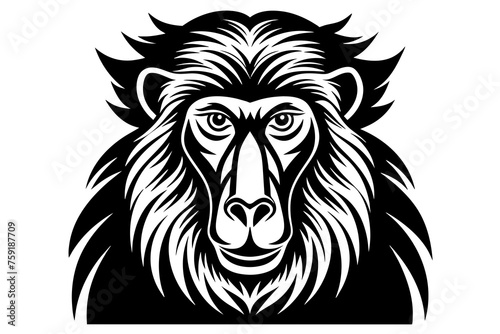 baboon vector illustration