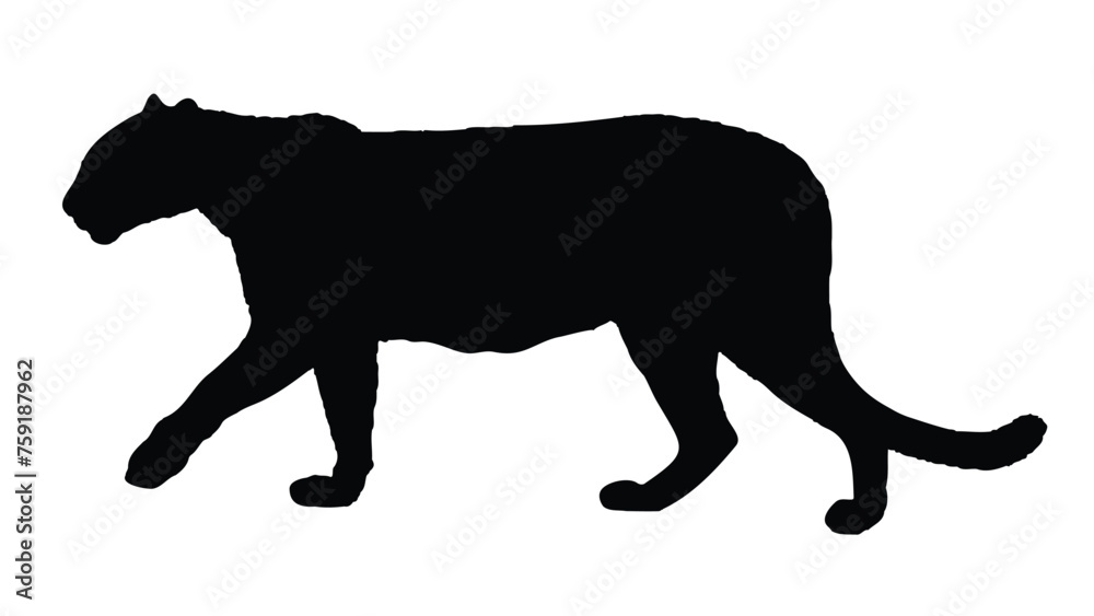 Leopard Silhouettes Isolated on White Background Leopard Silhouettes Isolated on White Background