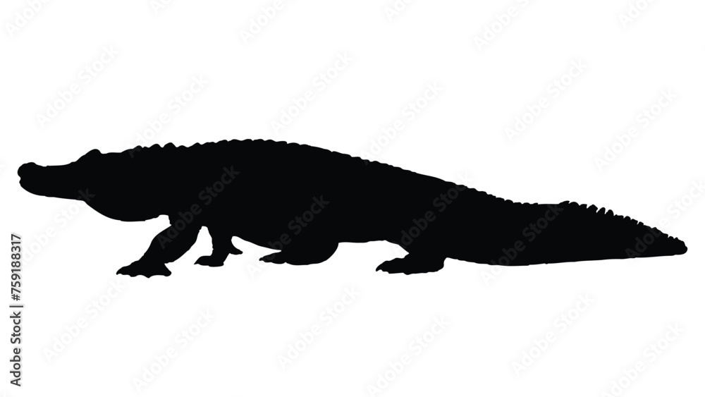 Crocodile Silhouettes Isolated on White Background