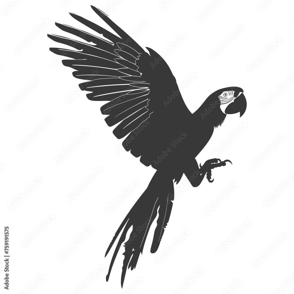 Naklejka premium Silhouette Parrot Animal fly black color only full body