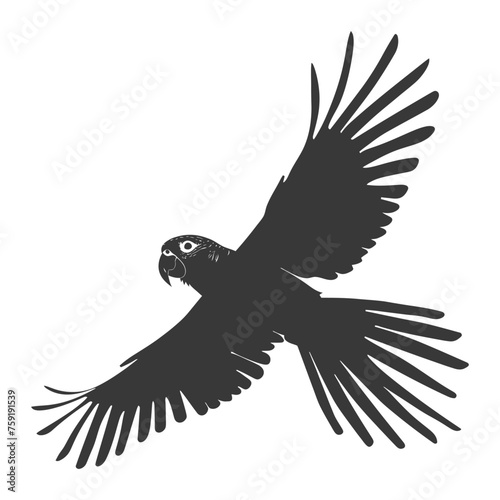 Silhouette Parrot Animal fly black color only full body photo