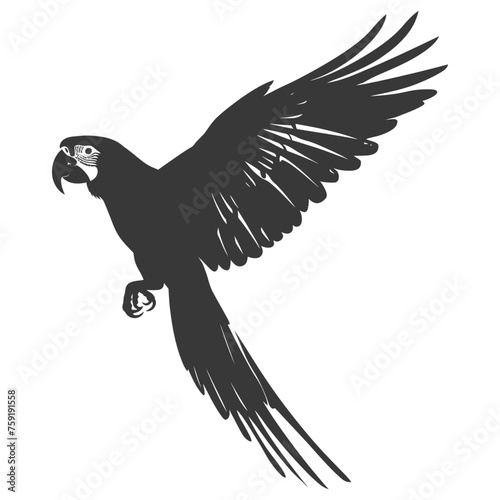 Silhouette Parrot Animal fly black color only full body photo