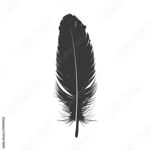 Silhouette single feather black color only