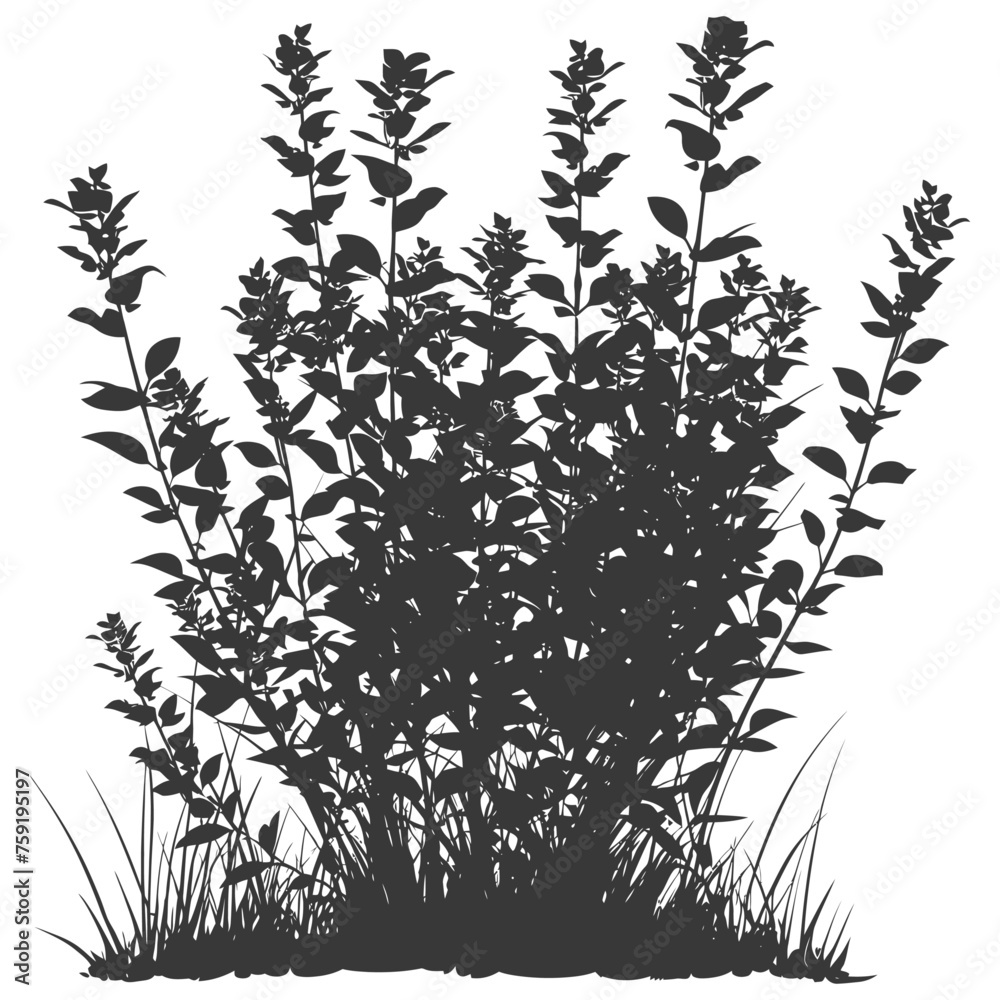 Silhouette small tall bush black color only