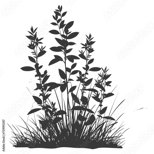 Silhouette small tall bush black color only