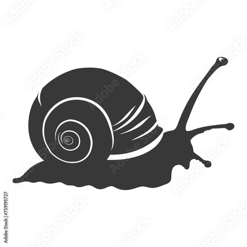 Silhouette snail Animal black color only full body