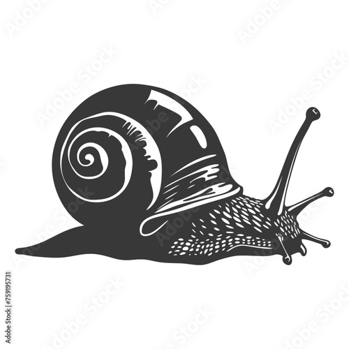 Silhouette snail Animal black color only full body