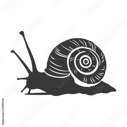 Silhouette snail Animal black color only full body