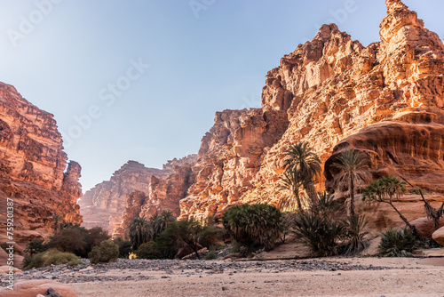 Steep cliffs of Wadi Disah canyon, Saudi Arabia