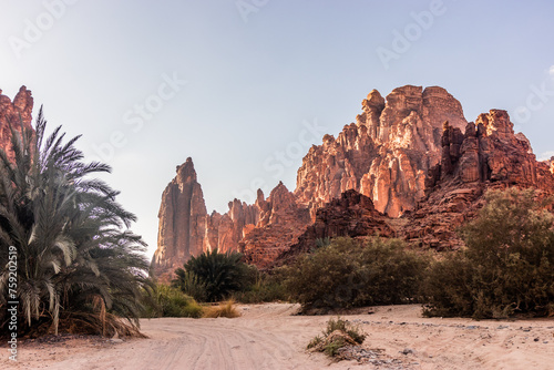 Cliffs of Wadi Disah canyon, Saudi Arabia