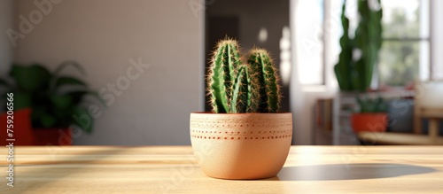 A houseplant in a flowerpot, a small cactus with thorns and spines, sitting on a hardwood table, showcasing natures artistry