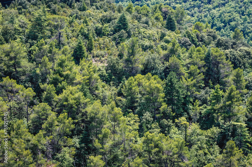 Forests on a hills around in Bonnieux town, Provence region, France © Fotokon
