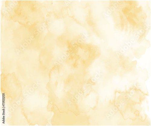 Abstract mustard watercolor on white background.This is watercolor splash