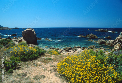 Fototapeta Naklejka Na Ścianę i Meble -  Idyllic rocky coast of Costa Paradiso, Porphyry rocks, Sardinia, Italy, Mediterranean sea, Europe