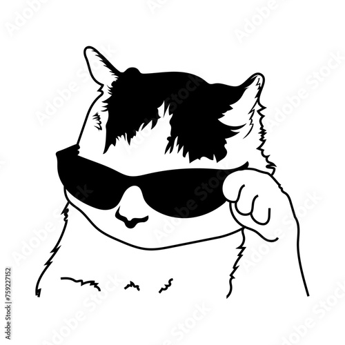 Cat funny cool glasses meme sticker illustration vector design