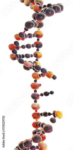 Colorful DNA Helix Structure in High Detail