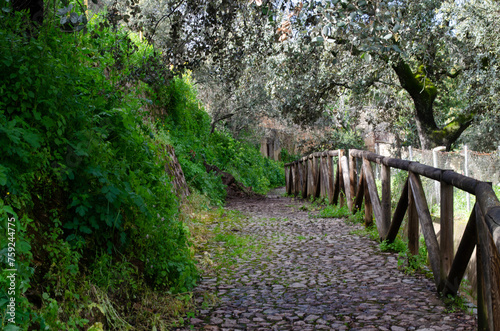 Obraz w ramie ZUFRE, SIERRA DE ARACENA, HUELVA