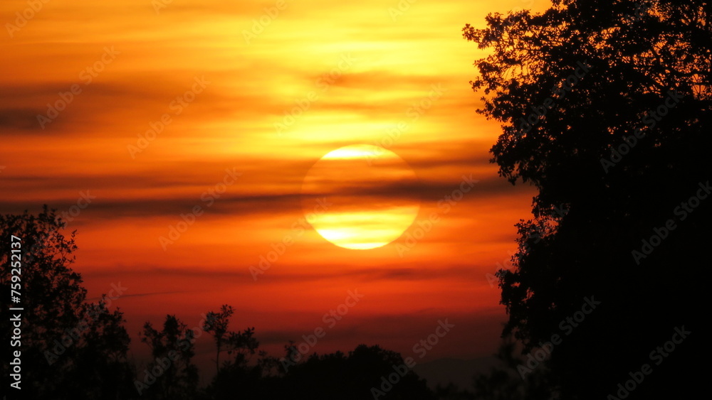 giant sun sunset reddish backlight trees golden yellow giant sun sunset reddish backlight trees golden yellow