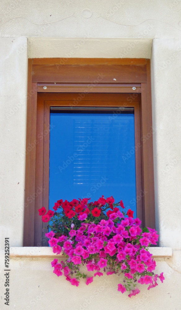window with fuchsia petunias red roses flowers pot pot Mediterranean summer