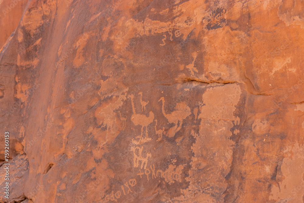 Fototapeta premium Rock art (petroglyphs) in Jubbah, Saudi Arabia