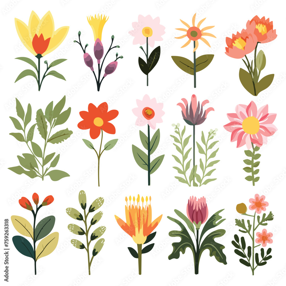 Isolated set of flowers illustration flat vector il