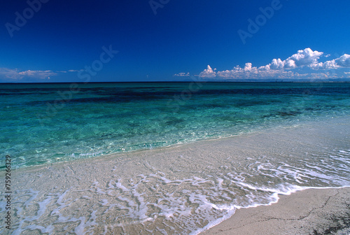 shoreline and beach with sky Ezzi Mannu, Stintino, Sassari, Sardinia, Italy photo