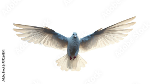pigeon isolated on white png ai generated