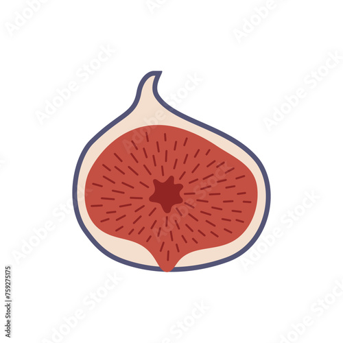 Figs in cut in flat style for teaching toddlers and preschoolers. Cards in primitive style for development.