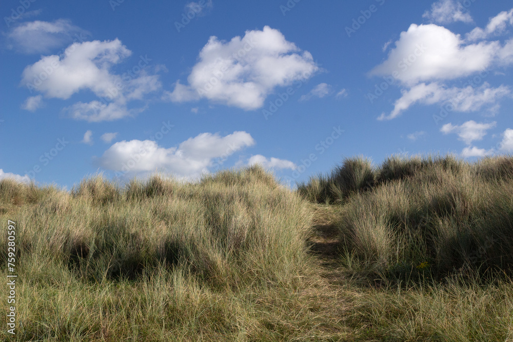 Footpath leading to Walberswick Beach in Suffolk, England, United Kingdom Footpath leading to Walberswick Beach in Suffolk, England, United Kingdom