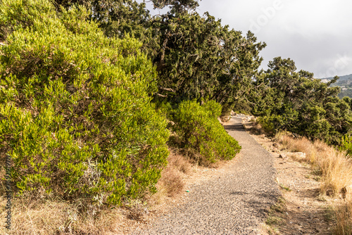 Hiking trail near Jabal Sawda mountain, Saudi Arabia photo