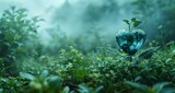 Heart shaped plant in the morning mist green background