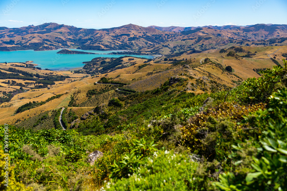 panorama of banks peninsula and akaroa harbour as seen from the top of the hill in otepatotu scenic reserve; canterbury, new zealand south island near christchurch