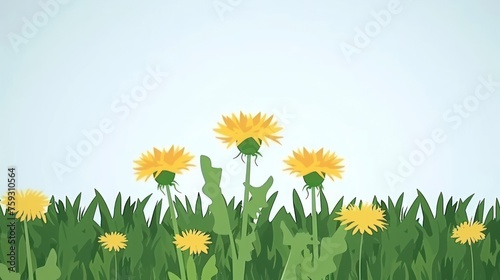 a field of grass with yellow flowers in the middle of the grass and a light blue sky in the background.