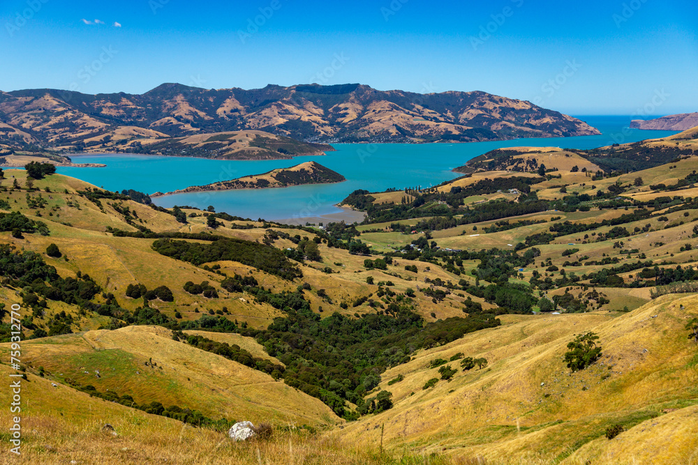 Fototapeta premium panorama of banks peninsula and akaroa harbour as seen from the top of the hill in otepatotu scenic reserve; canterbury, new zealand south island near christchurch