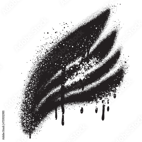 Spray Painted Graffiti wings Sprayed isolated with a white background.