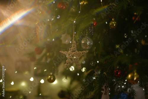 A Xmas star a tree decorated in evening lights