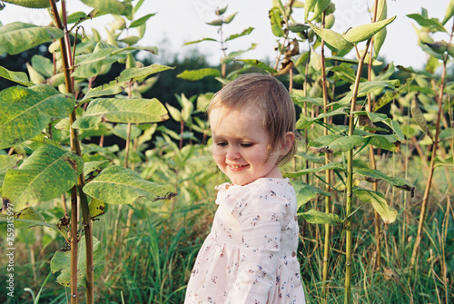 little toddler girl outdoors in field of milk weed plants in evening photo
