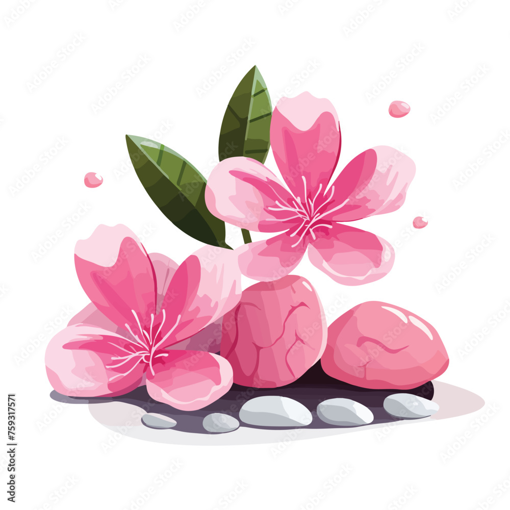 Three pink flowers with rocks on white background i