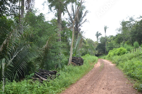 Tanque do Piauí - Piauí