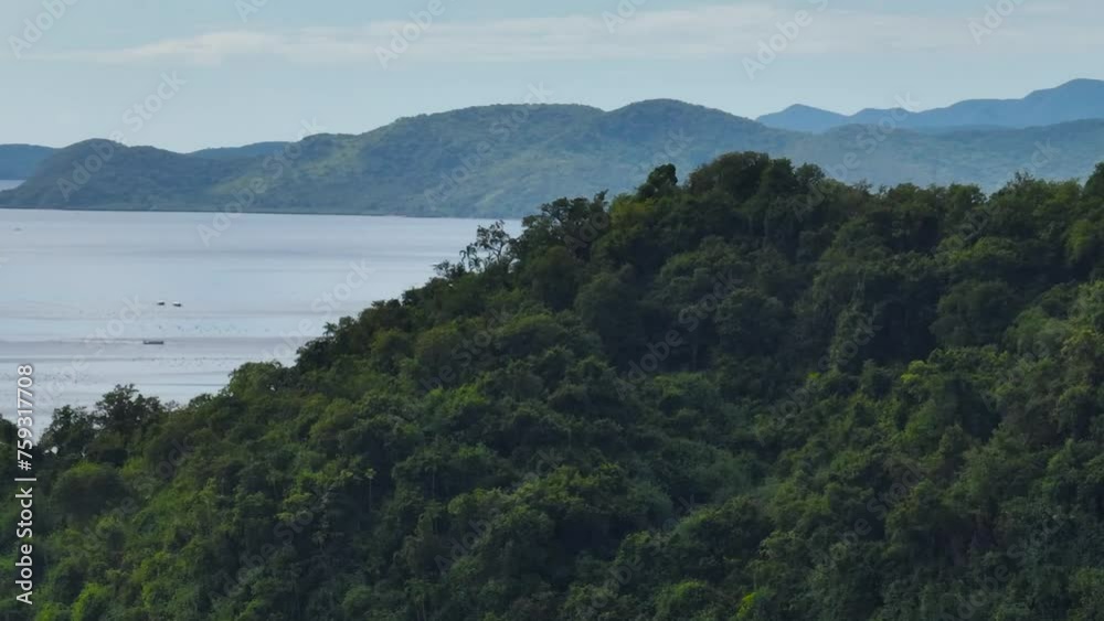 Tropical scenery of green trees and plants on tropical island. Philippines. Tropical scenery of green trees and plants on tropical island. Philippines.