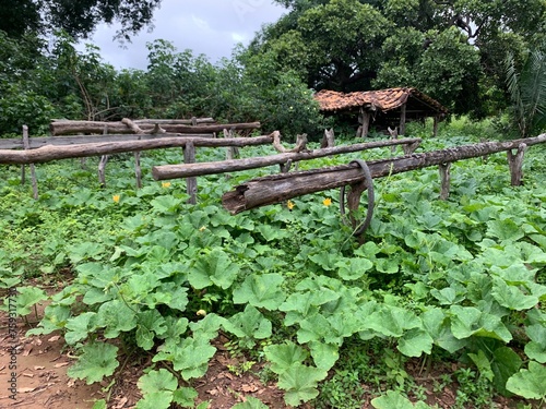 Tanque do Piauí - Piauí