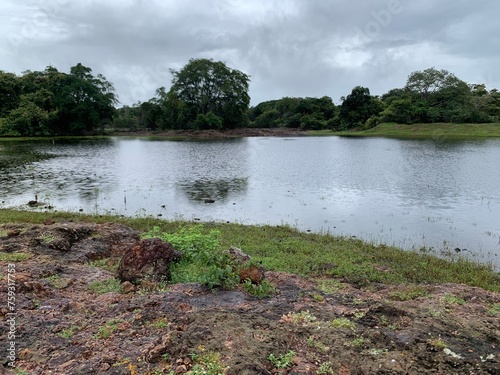Tanque do Piauí - Piauí
