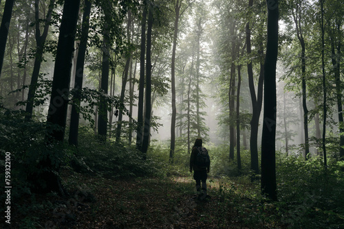 Traveler in enchanted foggy forest