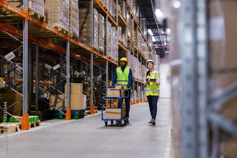 Warehouse multicultural managment staff control quality Warehouse multicultural managment staff control quality
