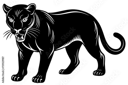 panther vector illustration © CreativeDesigns