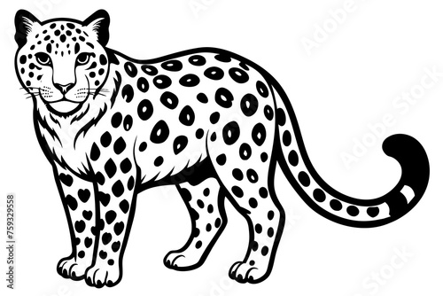 leopard vector illustration © CreativeDesigns